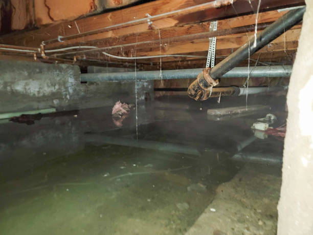Best Residential water damage restoration  in Sayville, NY