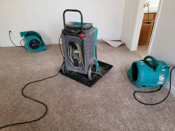 Best Mold removal after water damage  in Sayville, NY