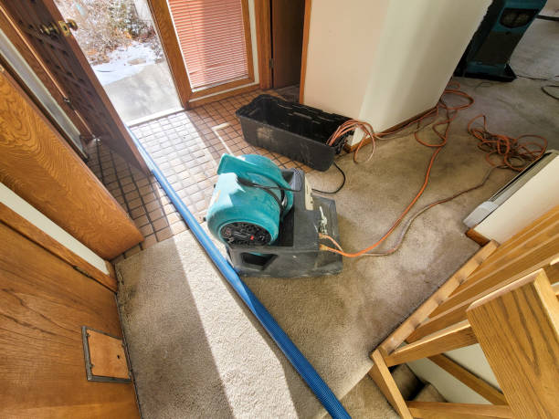 Best Water damage restoration services  in Sayville, NY