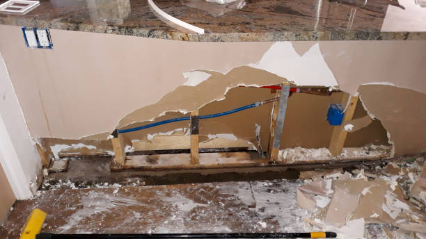 Best Flooded house restoration  in Sayville, NY