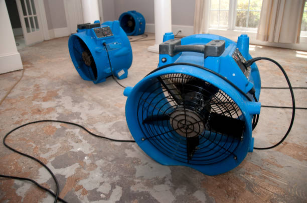 Best Professional water damage repair  in Sayville, NY