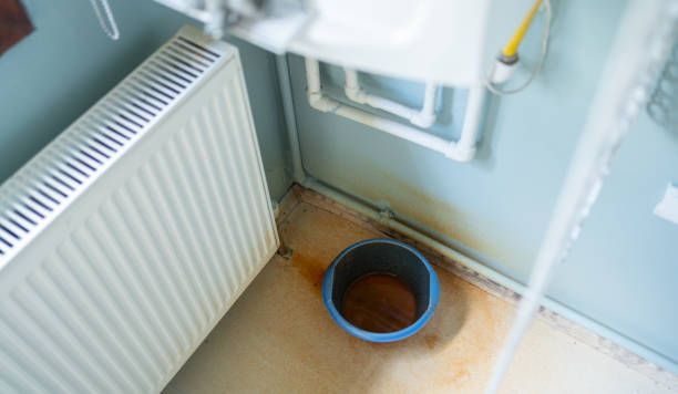 Best Ceiling water damage repair  in Sayville, NY