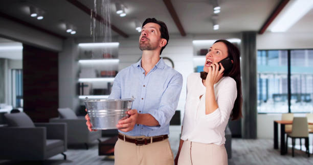 Best Water damage restoration near me  in Sayville, NY